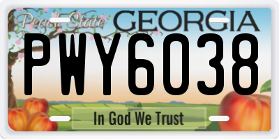 GA license plate PWY6038