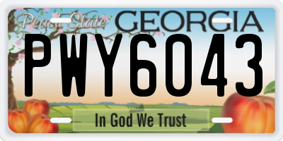 GA license plate PWY6043
