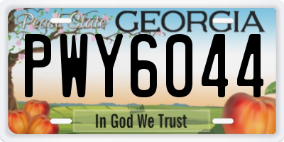 GA license plate PWY6044