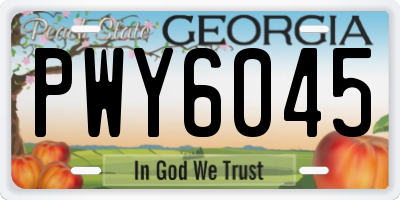 GA license plate PWY6045