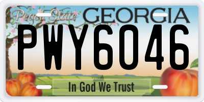 GA license plate PWY6046
