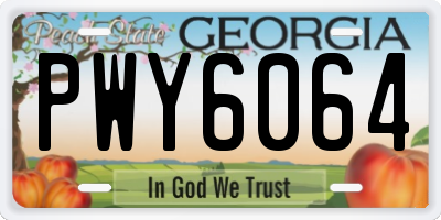 GA license plate PWY6064