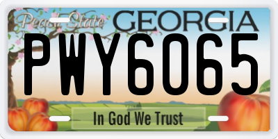 GA license plate PWY6065