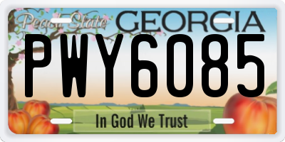 GA license plate PWY6085