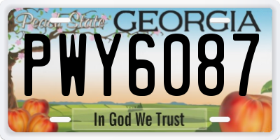 GA license plate PWY6087
