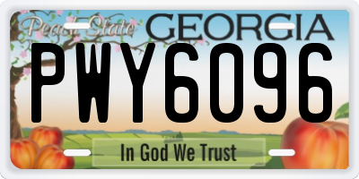 GA license plate PWY6096