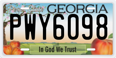 GA license plate PWY6098