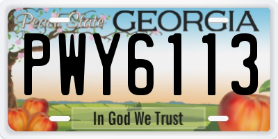 GA license plate PWY6113
