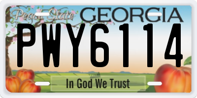 GA license plate PWY6114