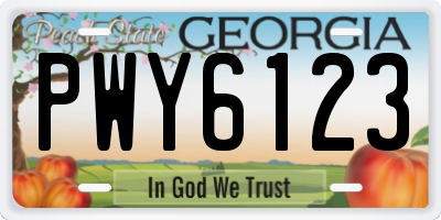 GA license plate PWY6123