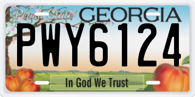 GA license plate PWY6124