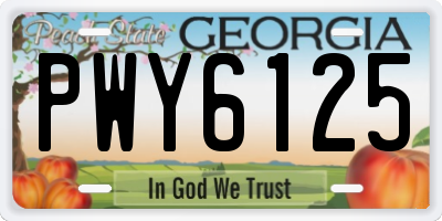 GA license plate PWY6125