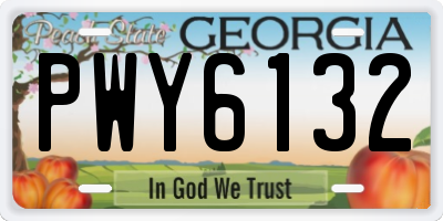 GA license plate PWY6132