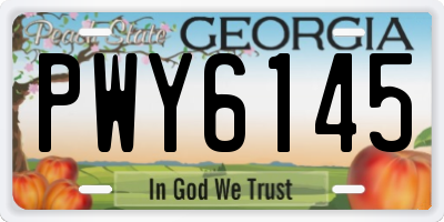 GA license plate PWY6145