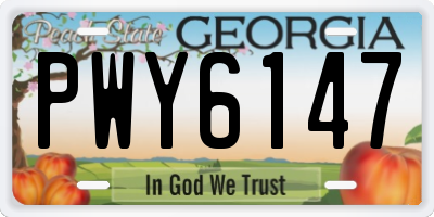 GA license plate PWY6147