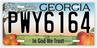 GA license plate PWY6164