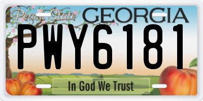 GA license plate PWY6181
