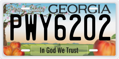 GA license plate PWY6202