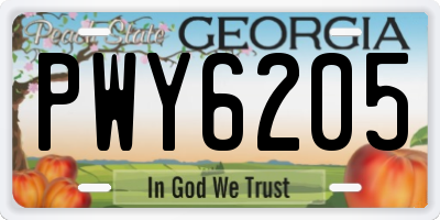 GA license plate PWY6205