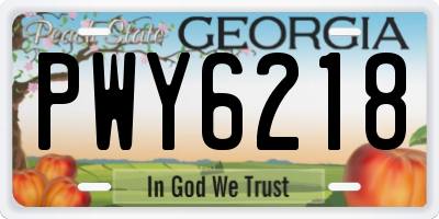 GA license plate PWY6218