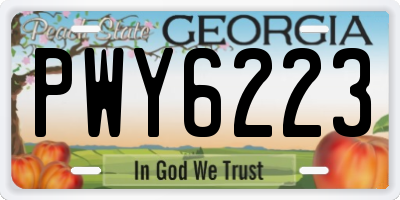 GA license plate PWY6223