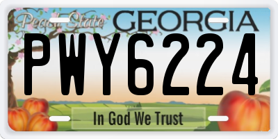 GA license plate PWY6224
