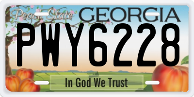 GA license plate PWY6228