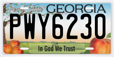 GA license plate PWY6230