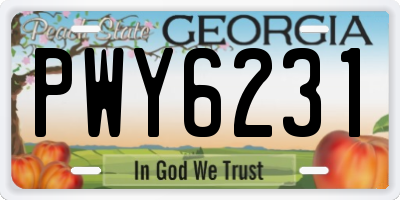 GA license plate PWY6231