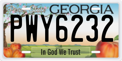 GA license plate PWY6232