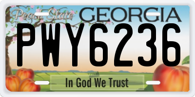 GA license plate PWY6236