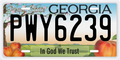 GA license plate PWY6239