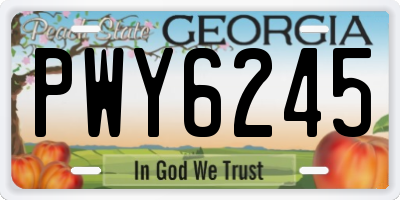 GA license plate PWY6245