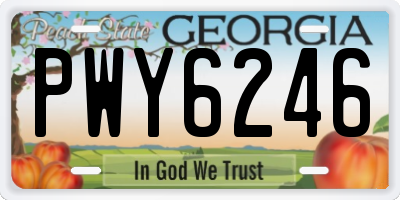 GA license plate PWY6246