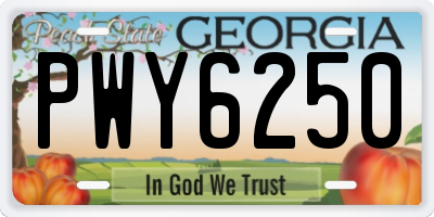 GA license plate PWY6250