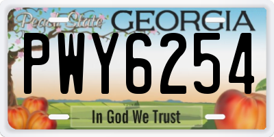 GA license plate PWY6254