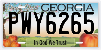 GA license plate PWY6265