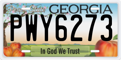 GA license plate PWY6273