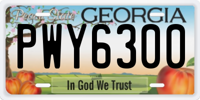 GA license plate PWY6300