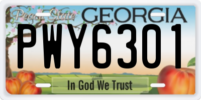 GA license plate PWY6301