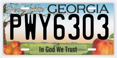 GA license plate PWY6303