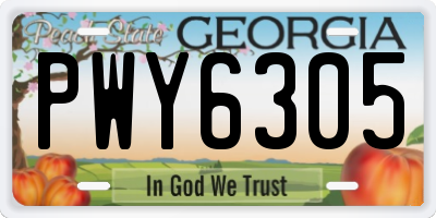 GA license plate PWY6305