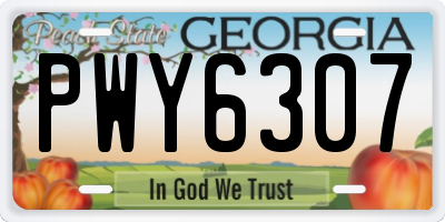 GA license plate PWY6307