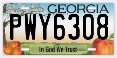 GA license plate PWY6308