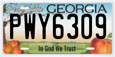 GA license plate PWY6309