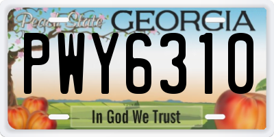 GA license plate PWY6310