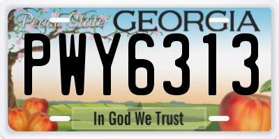 GA license plate PWY6313