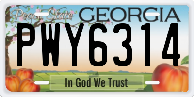GA license plate PWY6314