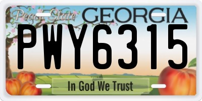 GA license plate PWY6315