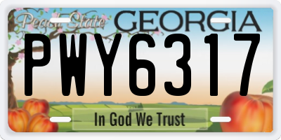 GA license plate PWY6317